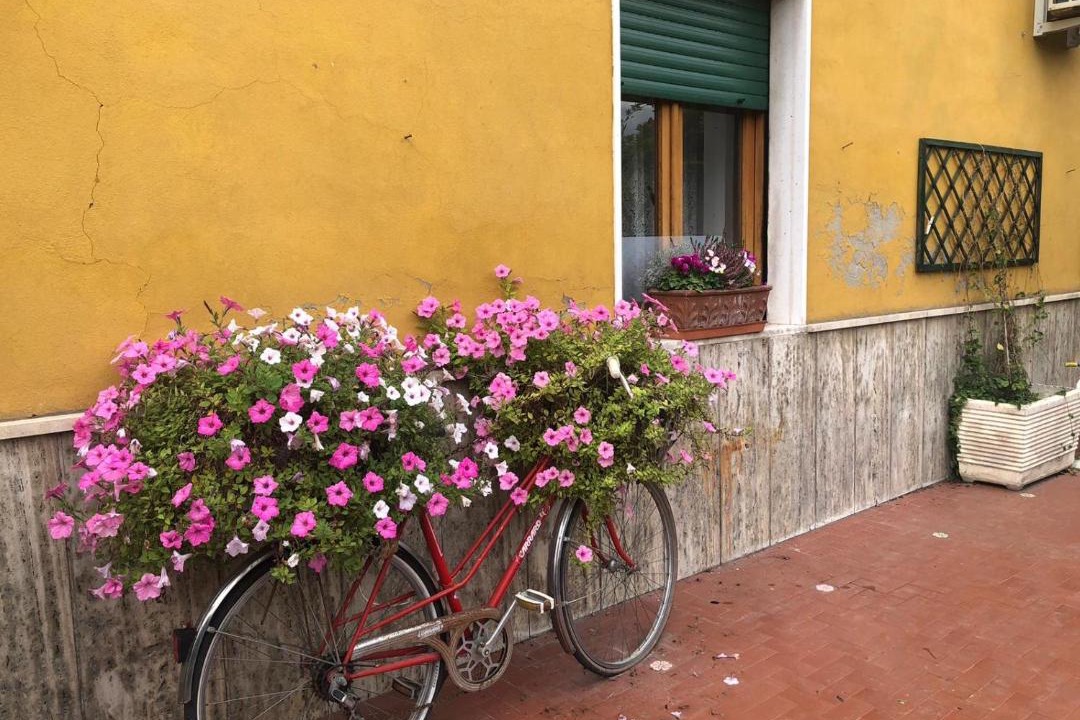 Photo of Others in Arpino
