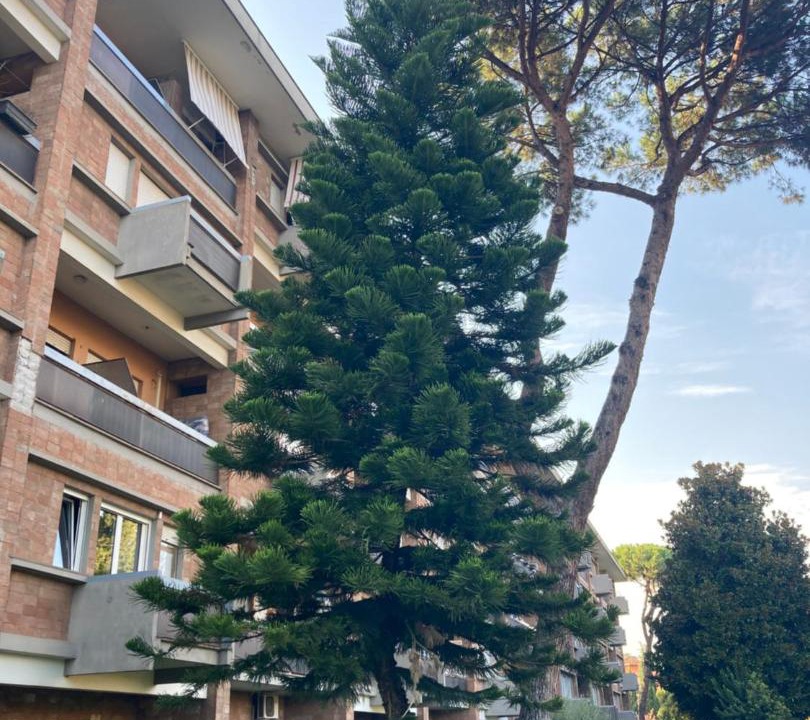 Photo of Others in Rione XIV Borgo