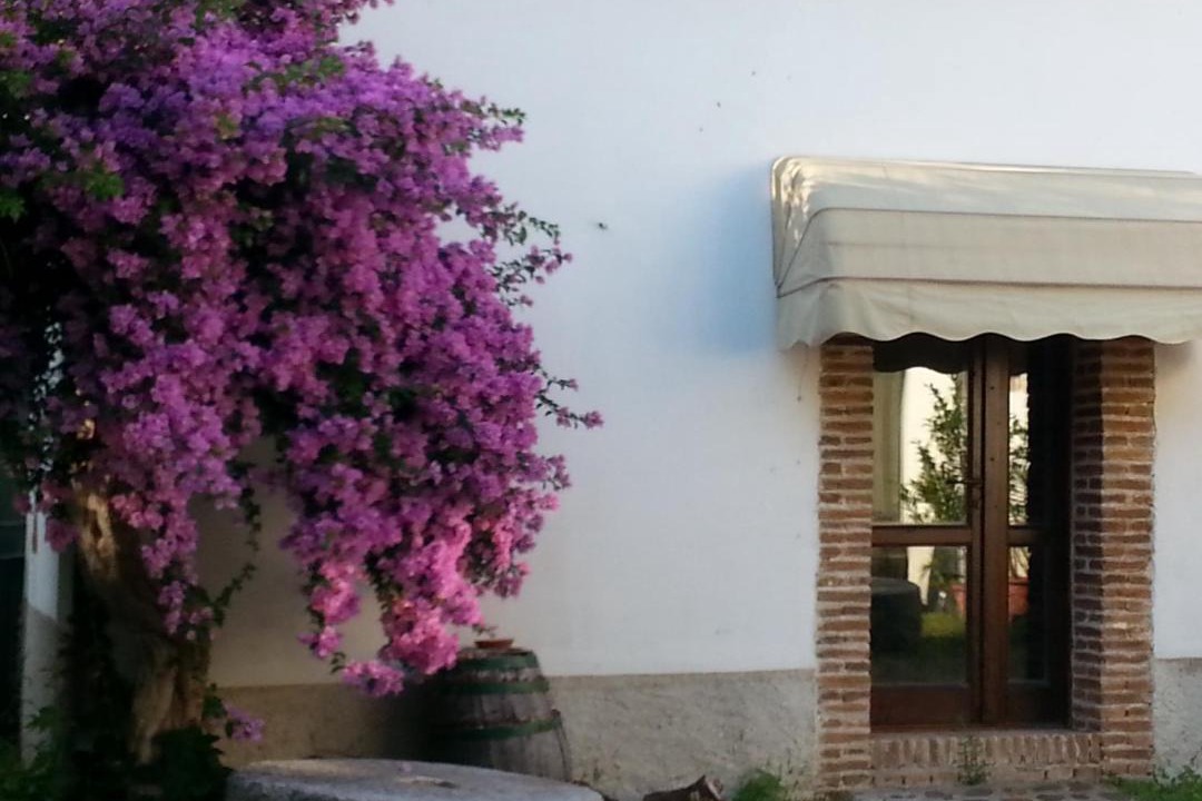Photo of Others in Rossano