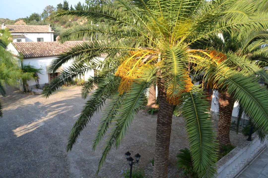 Photo of Others in Rossano