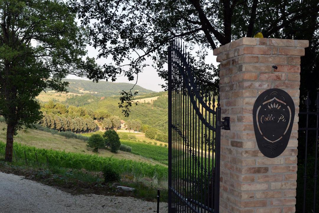Photo of Others in Assisi