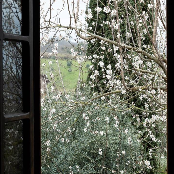 Photo of Others in Poderi