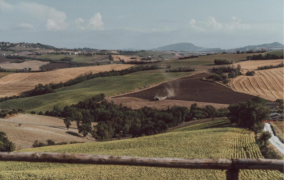 Photo of Others in Mogliano