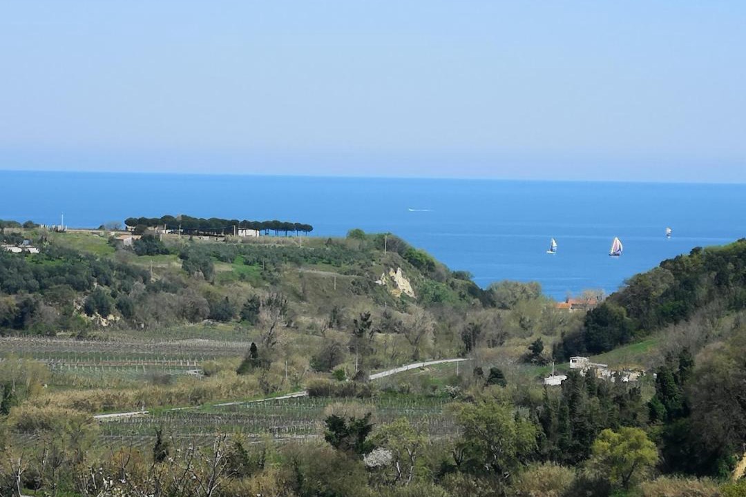 Photo of Others in Ortona