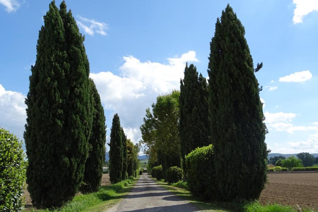 Photo of Others in Narni