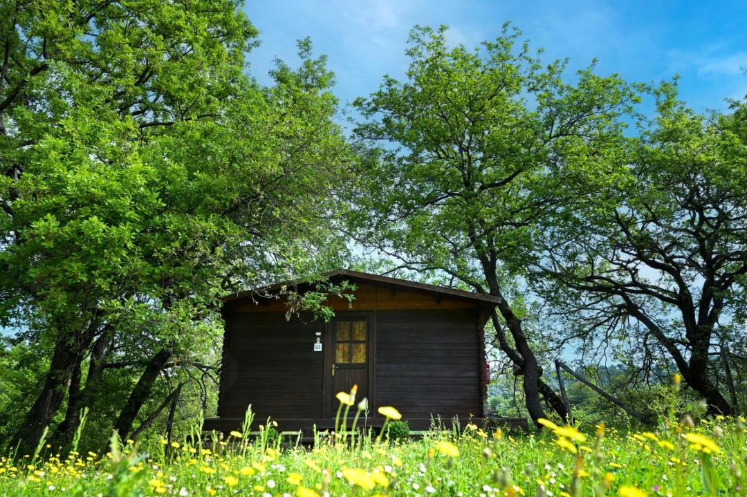 Photo of Others in Manciano