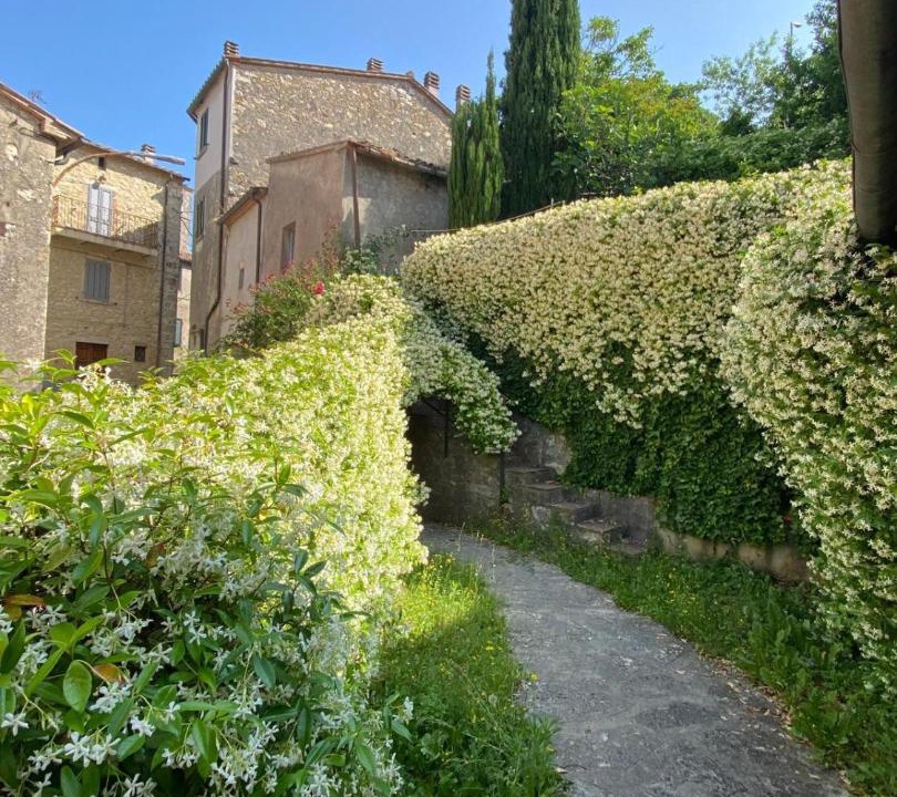 Photo of Others in Semproniano