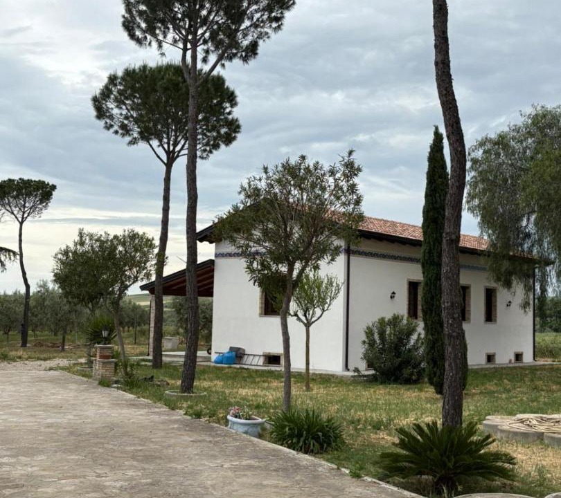 Photo of Others in Biccari