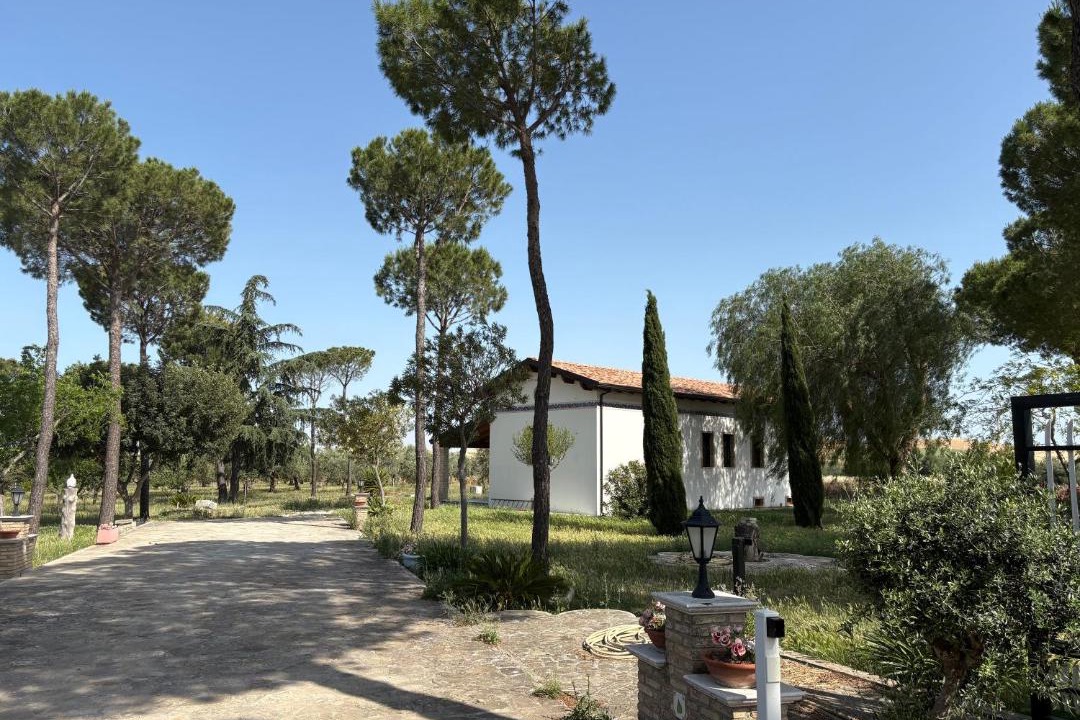 Photo of Others in Biccari
