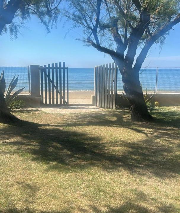 Photo of Others in Terracina