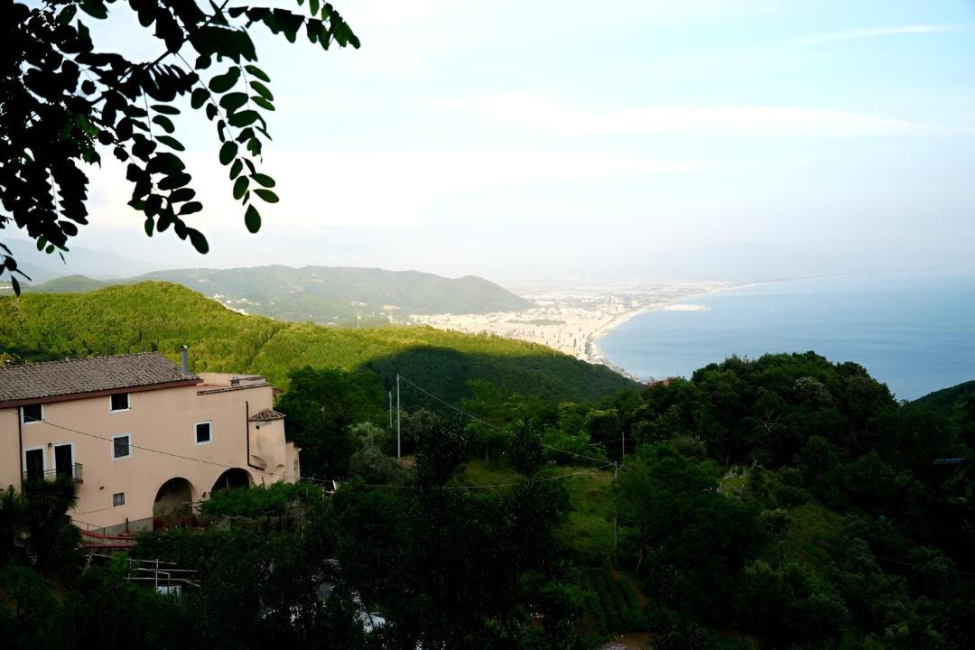 Photo of Others in Marini