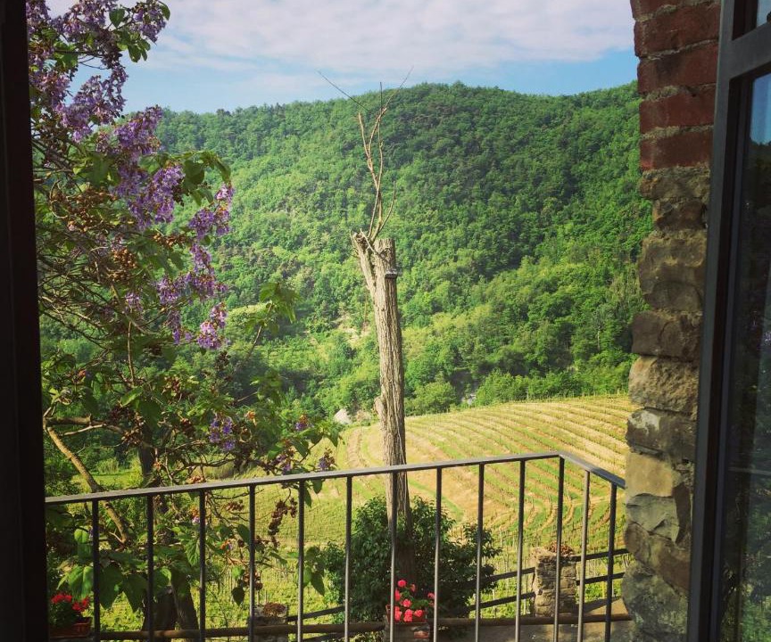 Photo of Others in Spigno Monferrato