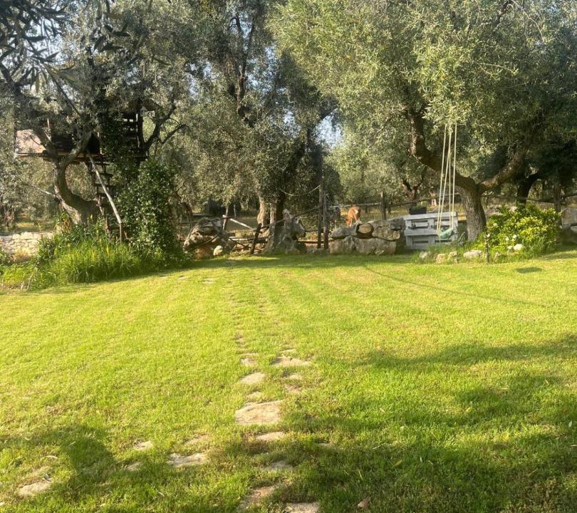 Photo of Others in Ischitella