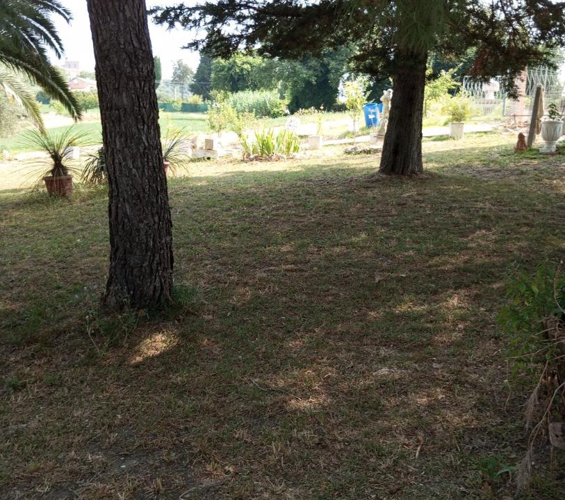 Photo of Others in Scapezzano