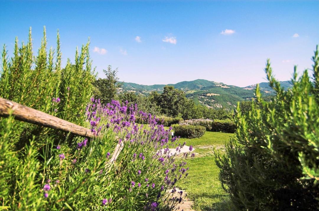 Photo of Outdoor in Assisi