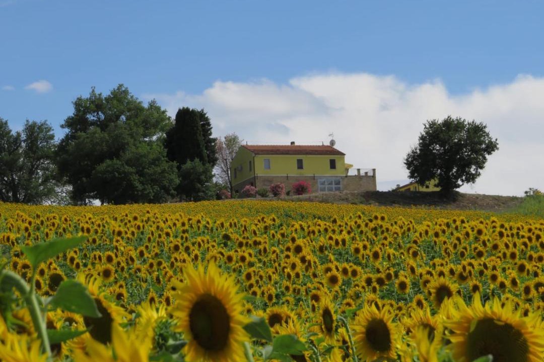 Photo of Others in Francavilla d'Ete