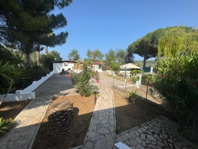 Photo of Others in Montincello