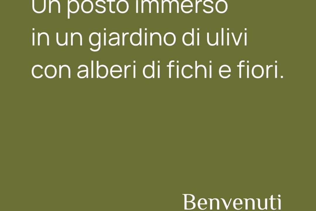 Photo of Others in Torchiara