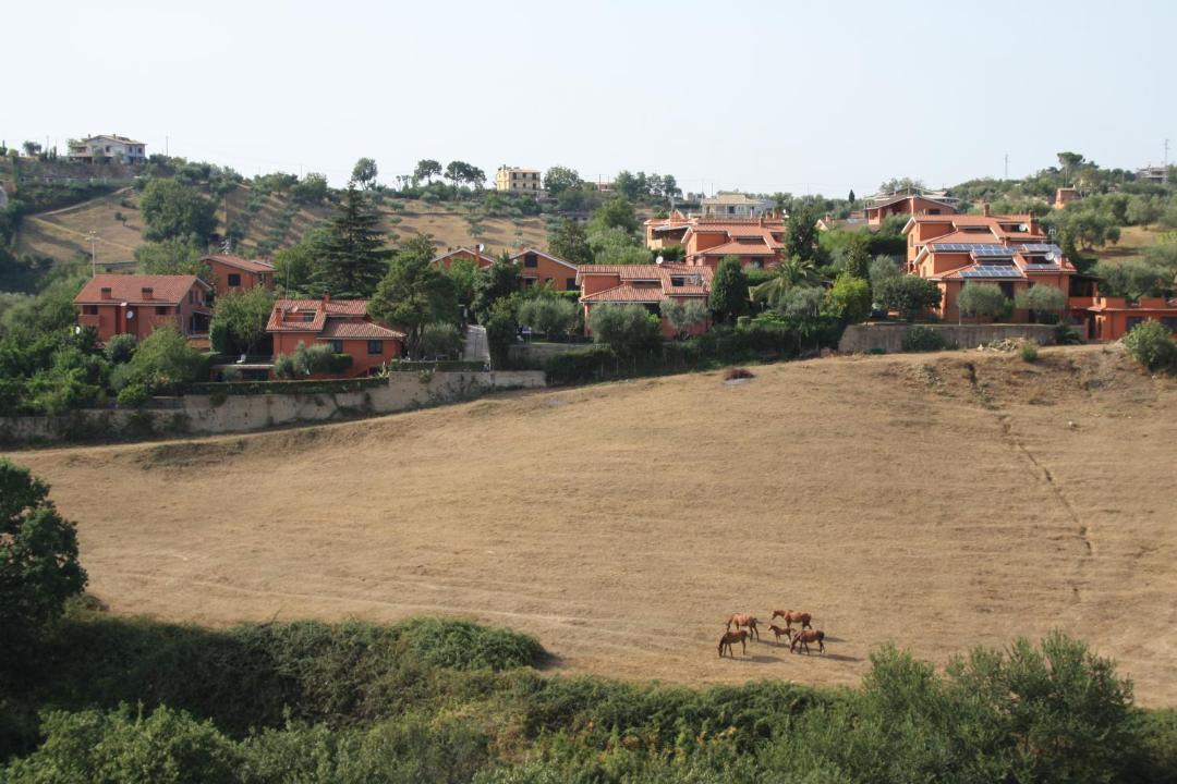 Photo of Others in Castelnuovo di Porto