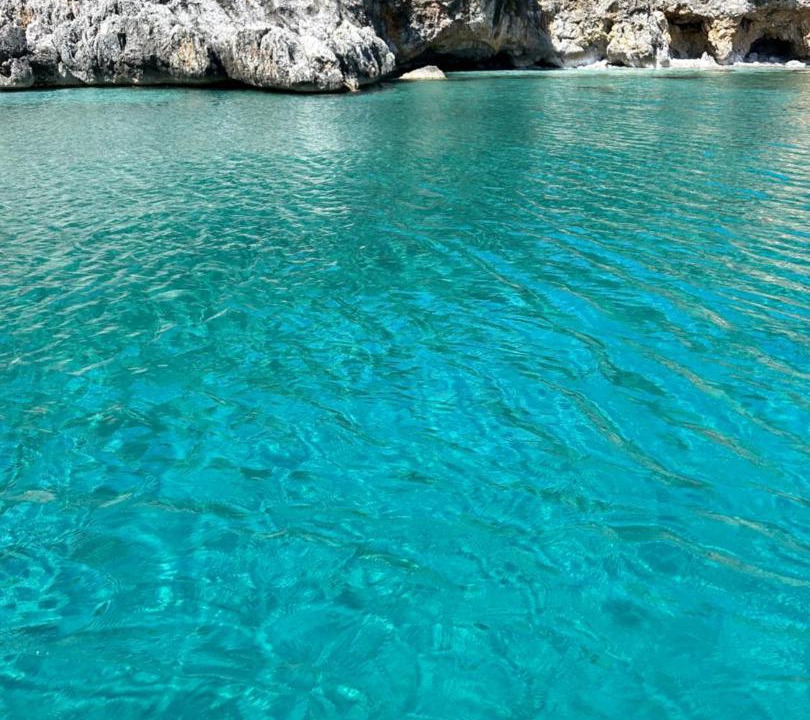 Photo of Others in Scario