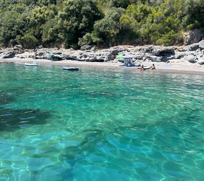 Photo of Others in Scario