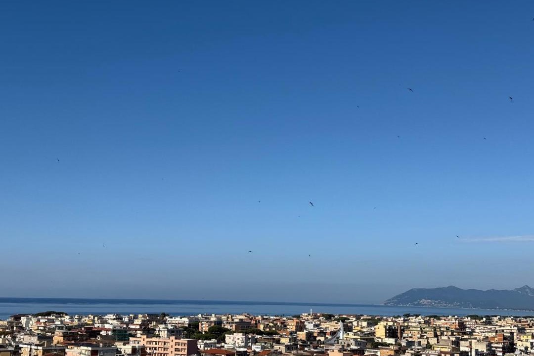 Photo of Others in Terracina