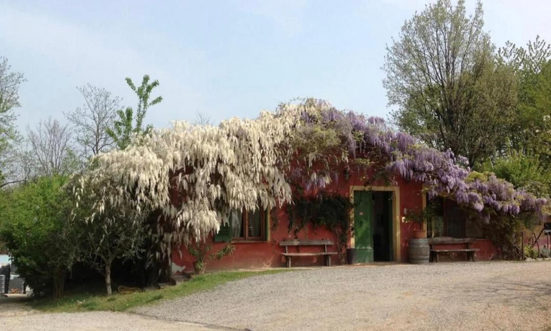 Photo of Others in San Nicolo