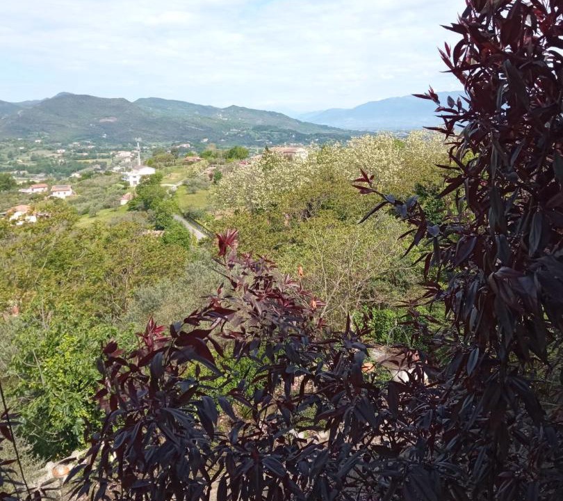 Photo of Others in Caiazzo