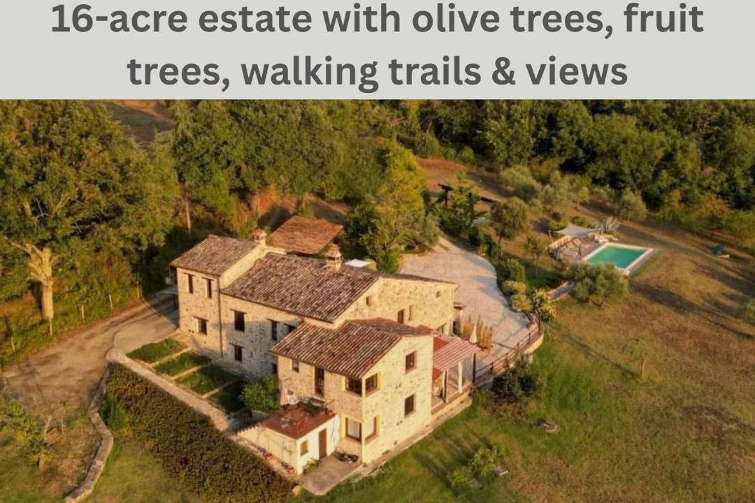 Photo of Others in Todi