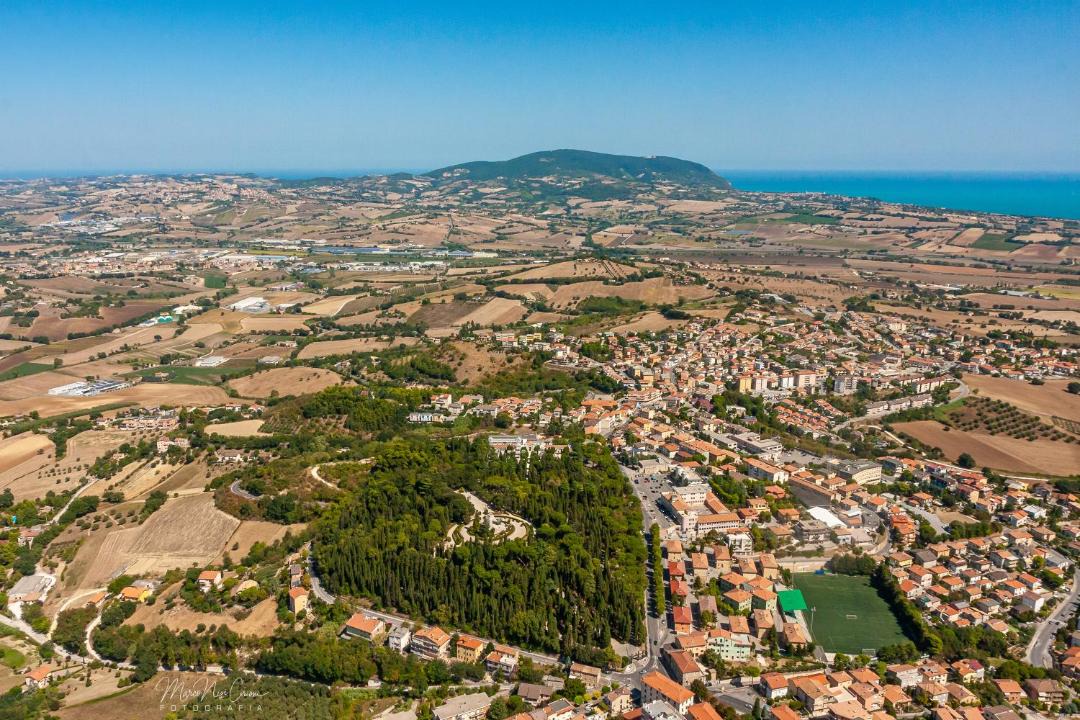 Photo of Others in Castelfidardo