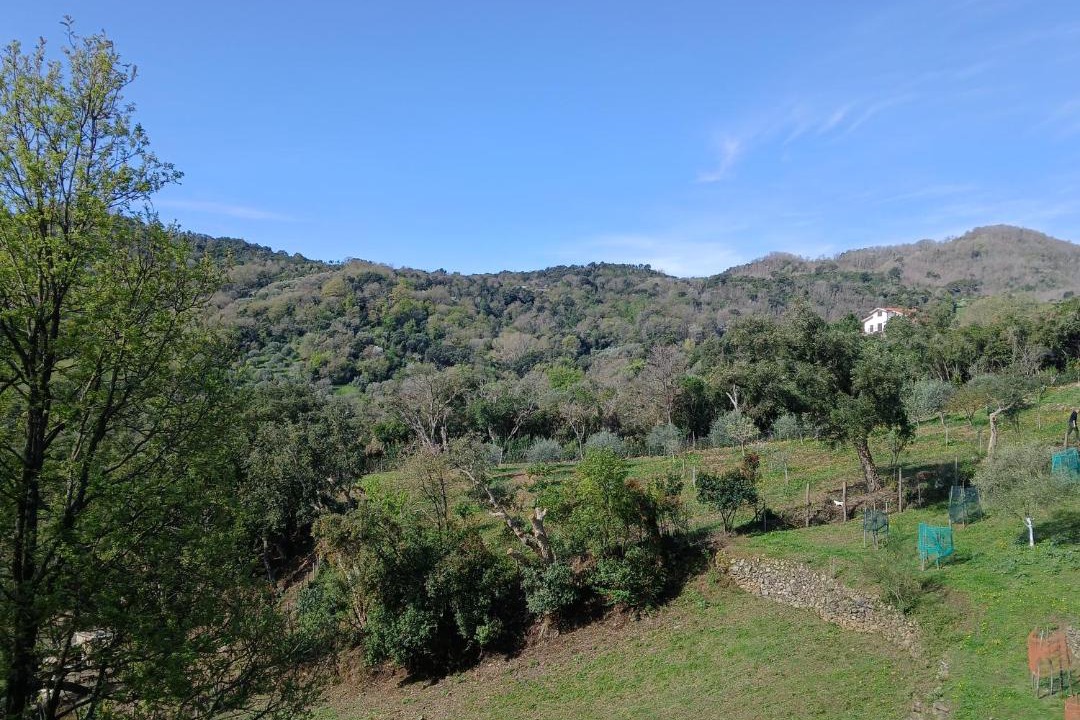 Photo of Others in Vibonati