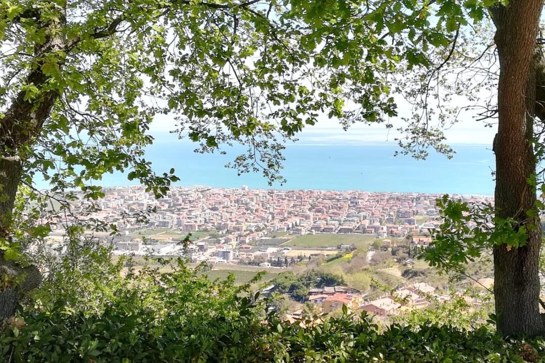 Photo of Others in Colonnella
