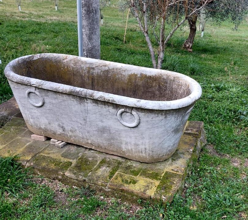 Photo of Others in Penna San Giovanni