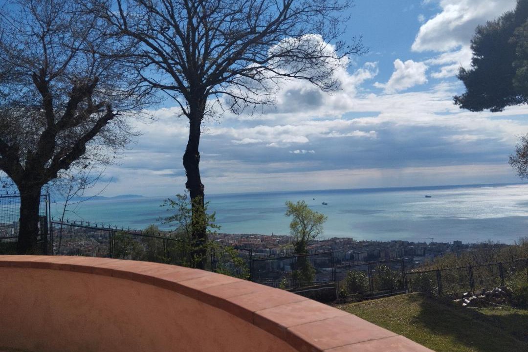 Photo of Others in Salerno