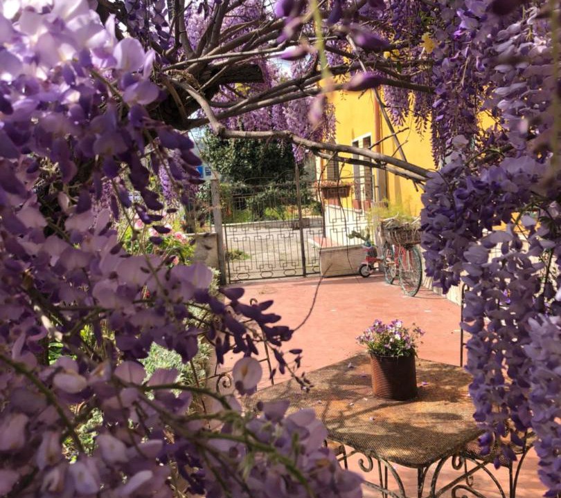 Photo of Others in Arpino