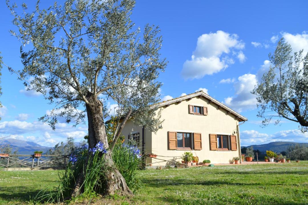 Photo of Others in San Brizio