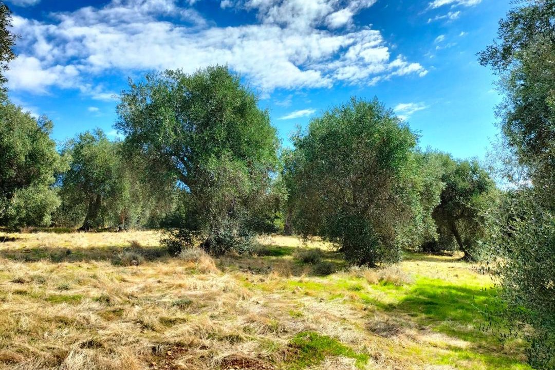 Photo of Others in Grosseto