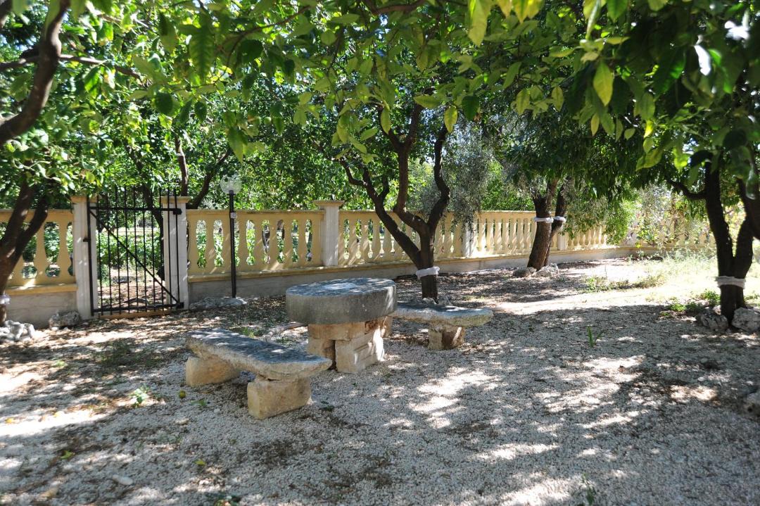 Photo of Others in Mattinata