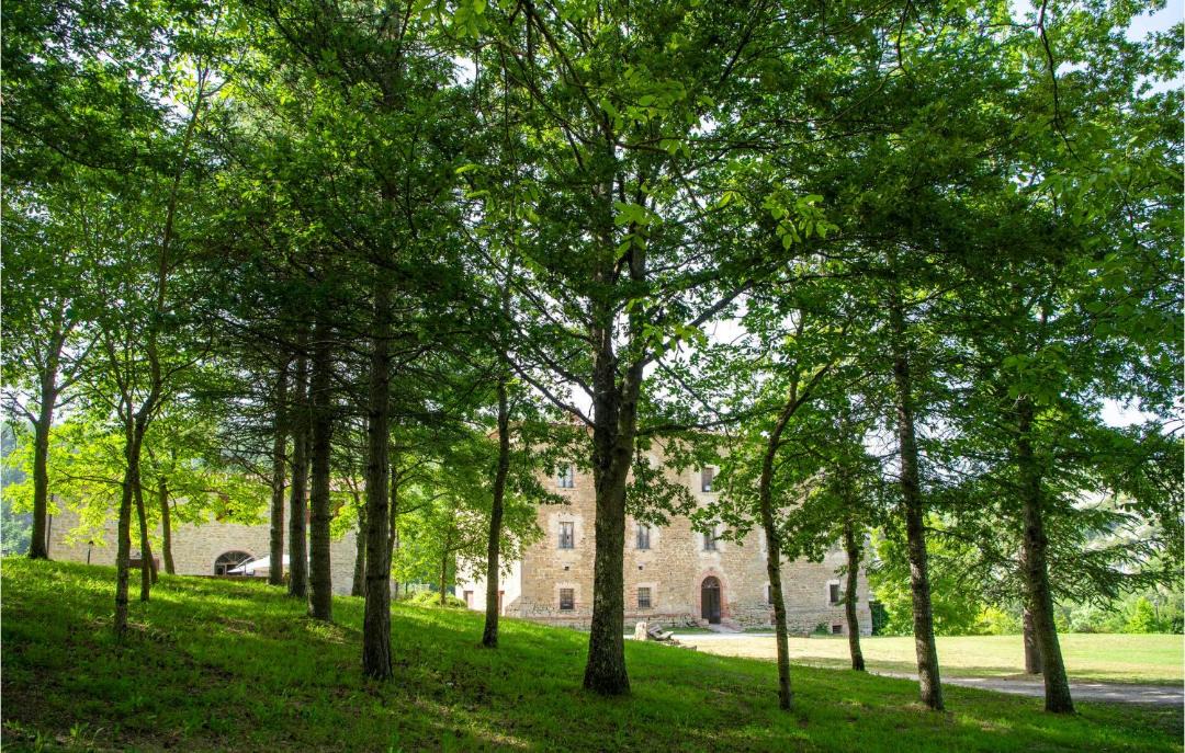 Photo of Others in Apecchio