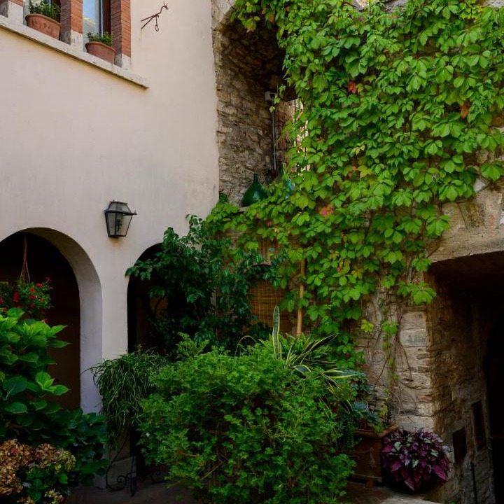 Photo of Others in Narni