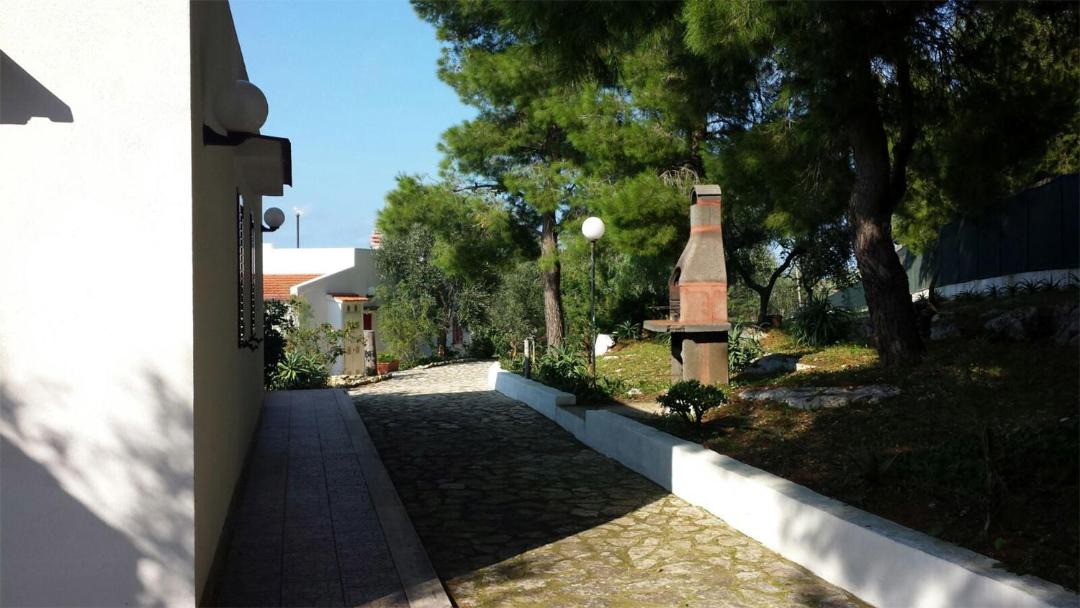 Photo of Others in Defensola