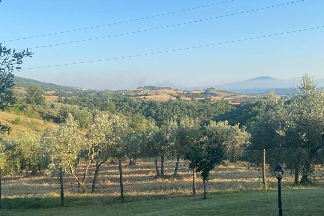 Photo of Others in Montecchio