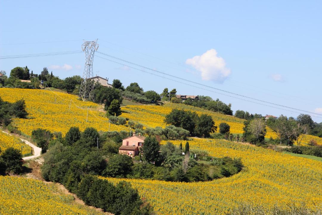 Photo of Others in Cerasa