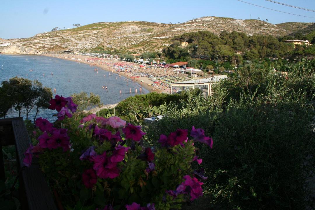 Photo of Others in Peschici