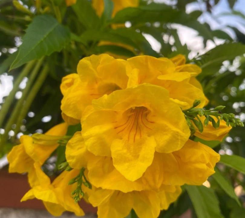 Photo of Outdoor in San Felice Circeo
