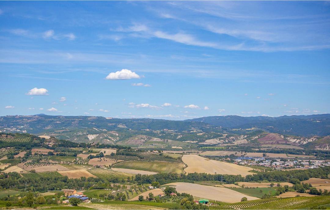 Photo of Others in Finocchieto
