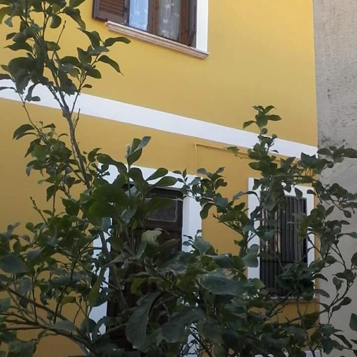 Photo of Others in Satriano di Lucania