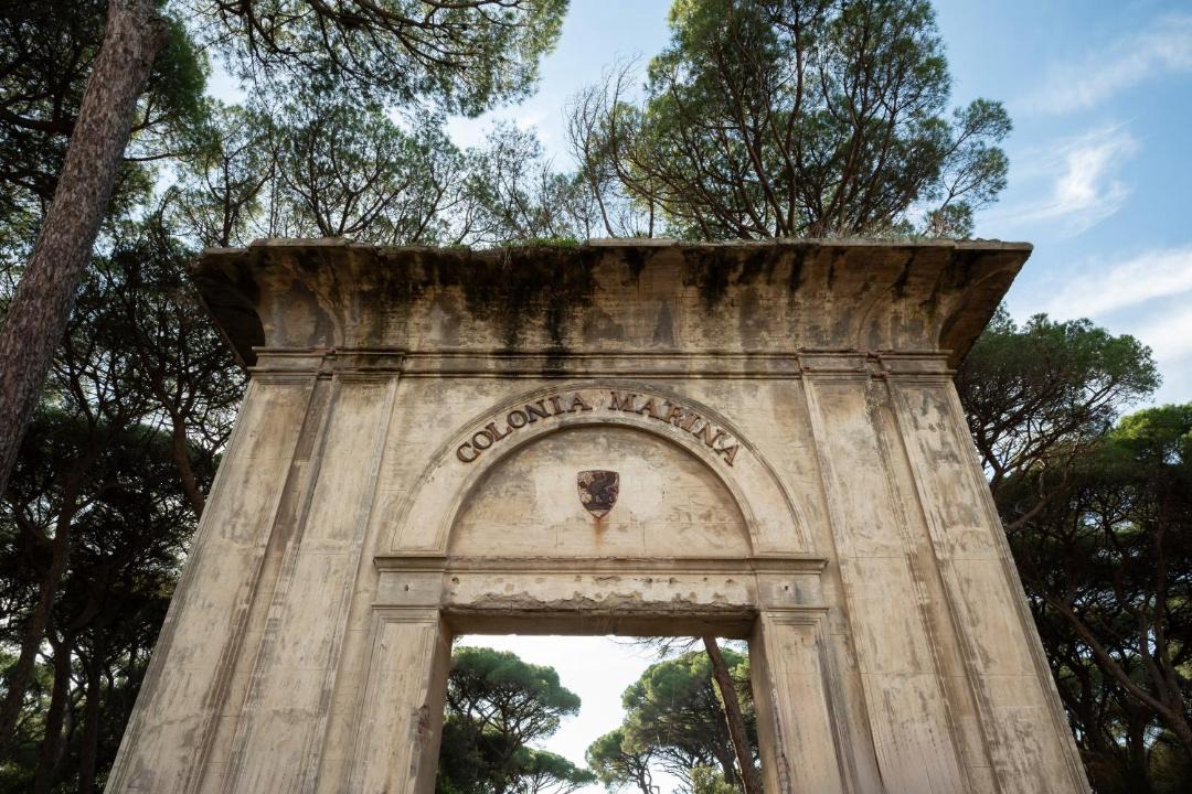 Photo of Others in Follonica