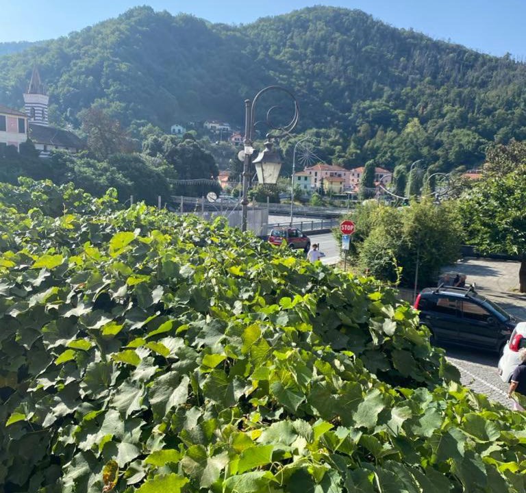 Photo of Others in Serra Ricco