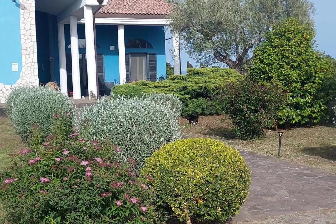 Photo of Others in Tuscania